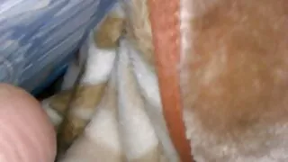 ترينا مايكلز سكس عربي مترجم جديد تتحدث إلى ريتا فالتويانو وهي تتبادل الأرداف مع صديقاتها