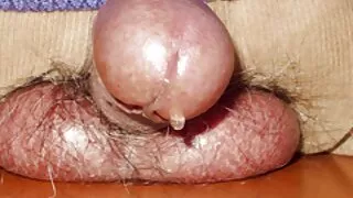 ابنة مراهقة أليكس غراي تقنع زوج الأم بممارسة الجنس افلام اباحيه مترجمه جديده معها